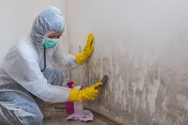 Mold Remediation for Rental Properties in Hawthorne, CA